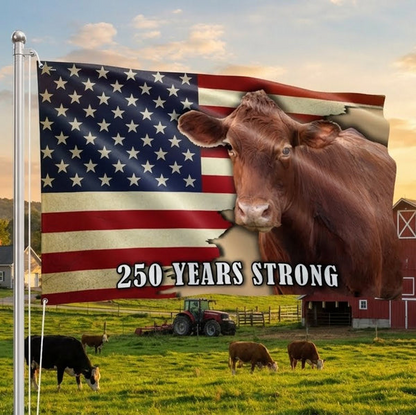 250 Years Strong Cow American Flag for Farmhouse Patriotic Decor