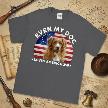Custom Photo Even My Dogs Love America 250 Dark Basic Tee